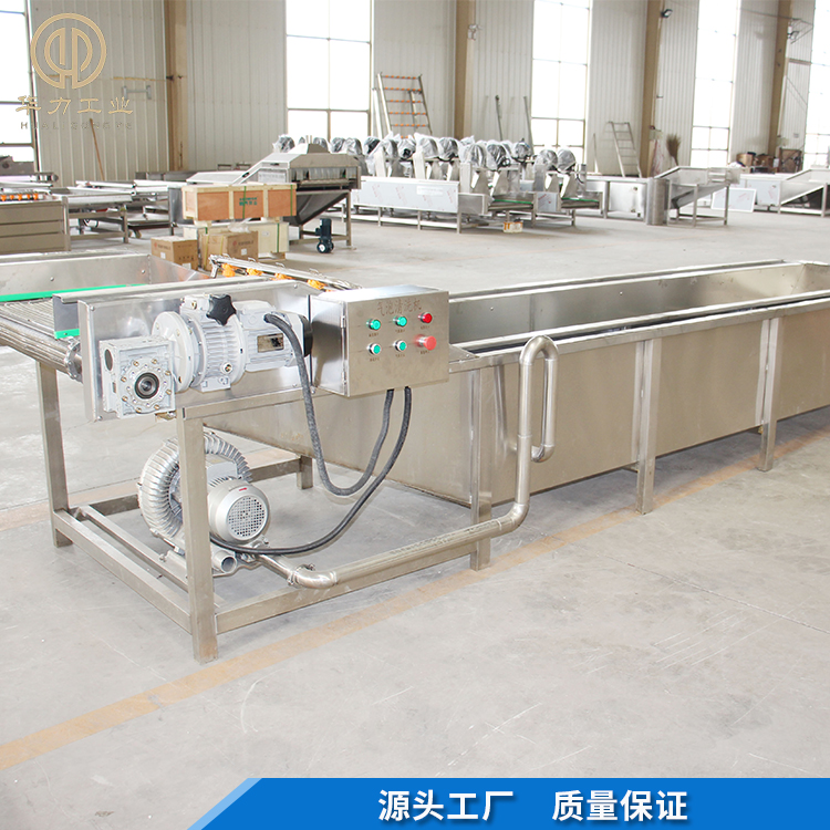 净菜加工设备 白香果清洗机 芸豆气泡清洗机 华力出品