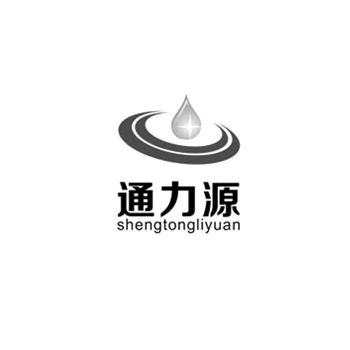 北京盛通力源科技有限公司 标志