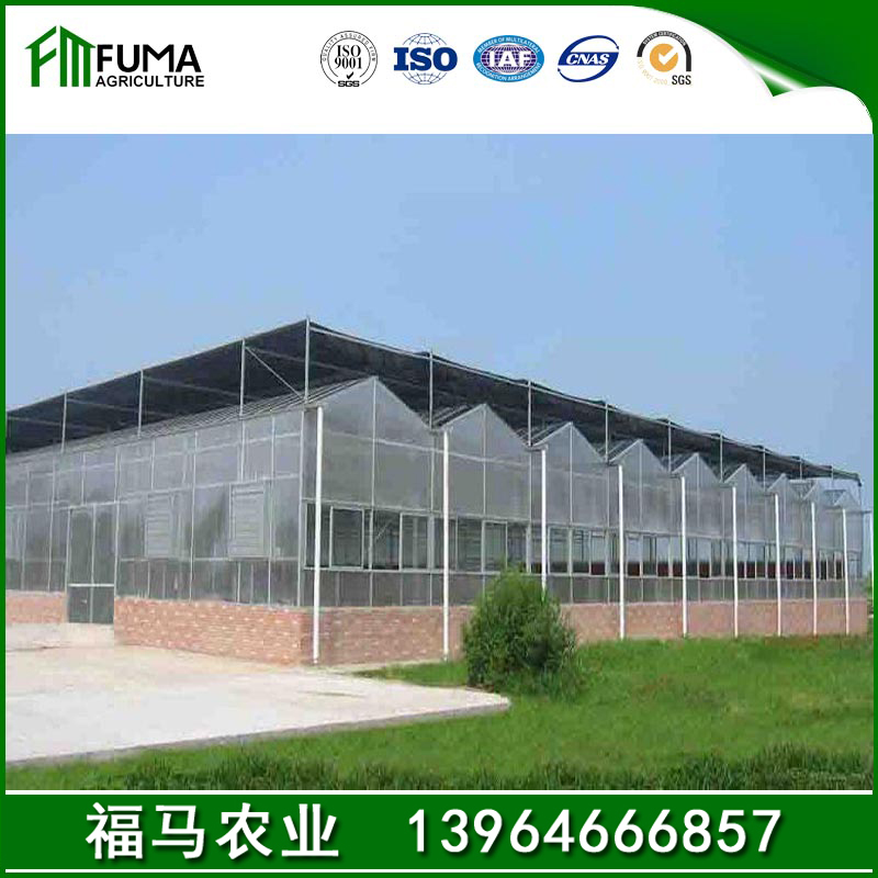 连栋温室大棚  生态餐厅温室设计 安装独栋拱棚_连体薄膜温室