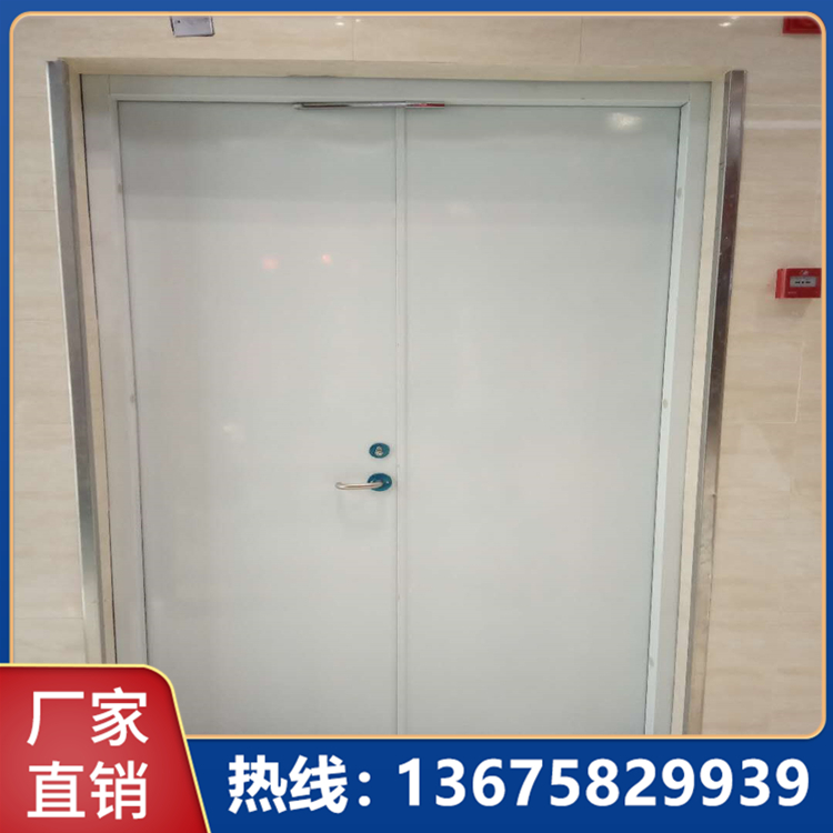 乙级门入户门 双开消防门通道 定制供应钢质防火门 