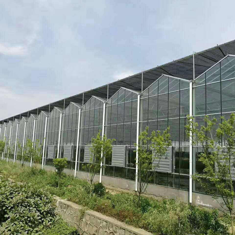 玻璃大棚 青州玻璃大棚 玻璃大棚造价