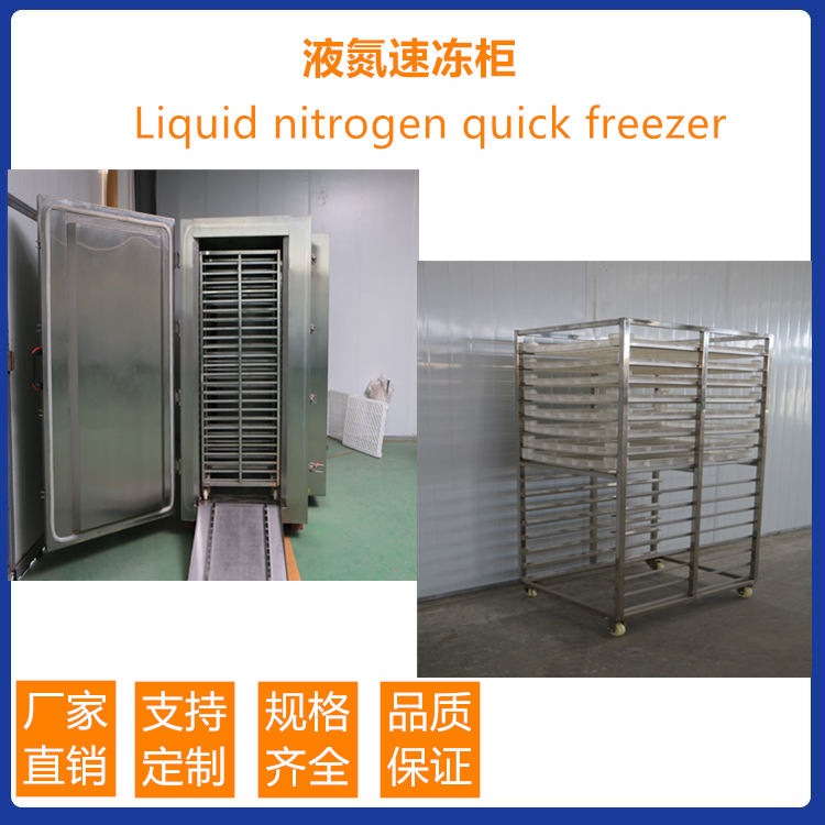 直销小型商用速冻柜 海鲜低温速冻柜 水饺速冻柜 速冻设备实地厂家