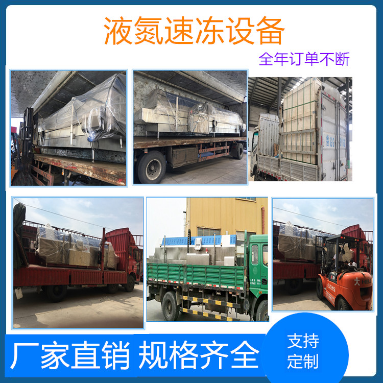 -196℃黄花鱼海鲜隧道速冻机 鱼类隧道速冻机 连续式水产品速冻隧道