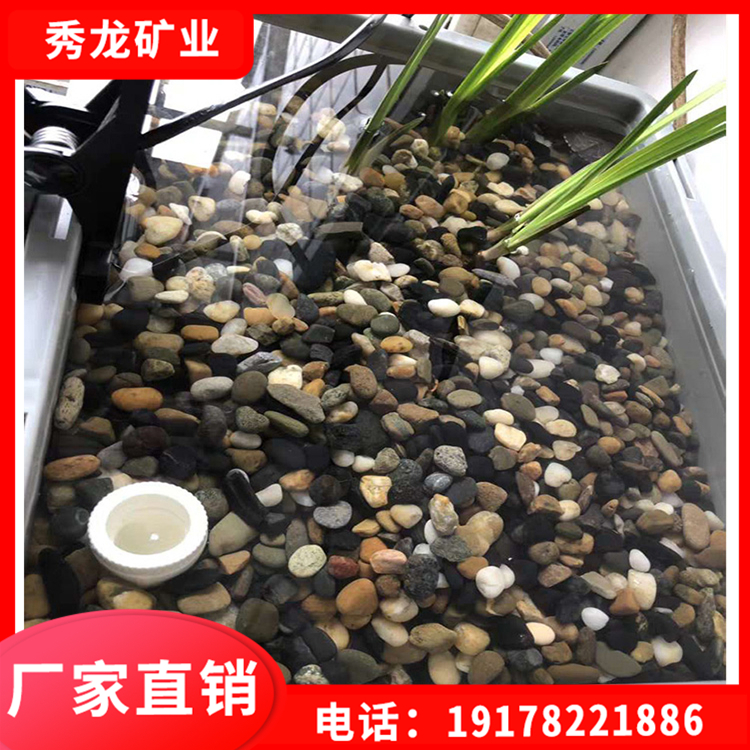 地暖石豆 高温汗蒸回填专用鹅卵石头