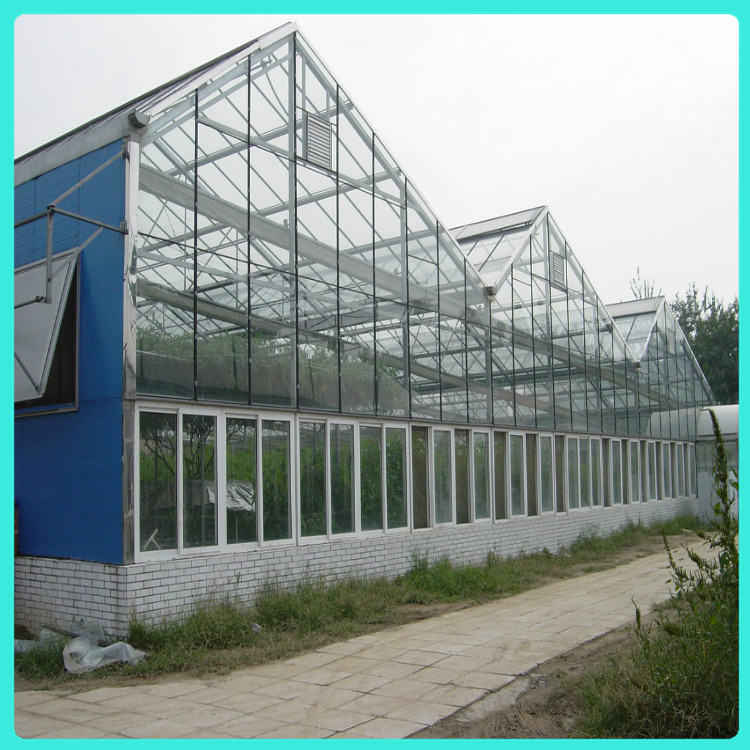 玻璃温室建设 智能玻璃温室报价方案 鑫秾温室