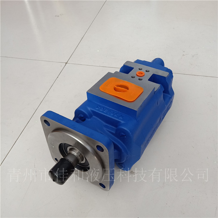 1119442003成工956C装载机双联泵供应-青州佳和液压