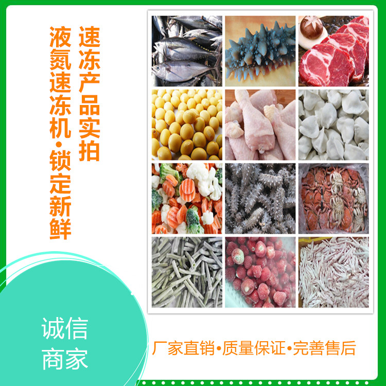 支持定制八爪鱼速冻柜 黄花鱼速冻机 鸡 鸭 鱼 肉 食品速冻机 速冻设备价格