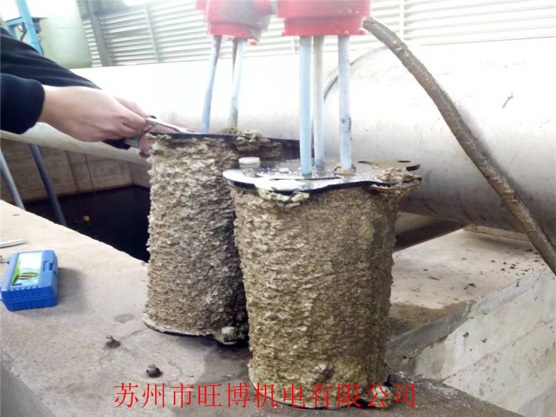 智能在线吸垢机器 除锈杀菌消毒吸垢机 冷却水吸垢机