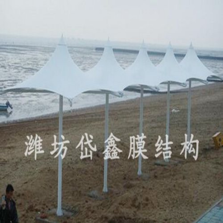 膜结构 岱鑫 停车棚 膜结构车棚 厂家直销 车棚膜结构