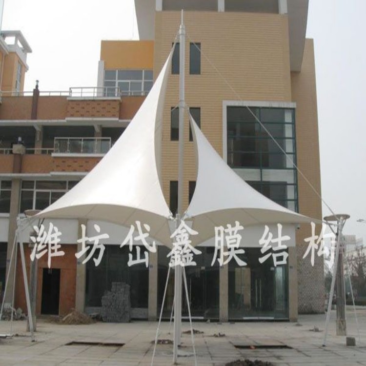 膜结构 岱鑫 膜结构停车棚 膜结构煤棚 定制 膜结构厂家