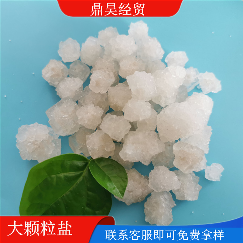 工业盐 现货批发工业用大颗粒盐 鼎昊生产工业盐厂家 送货上门