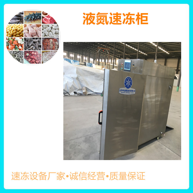 黄花鱼速冻机 金枪鱼速冻机 海产品速冻柜 液氮低温速冻柜生产定制