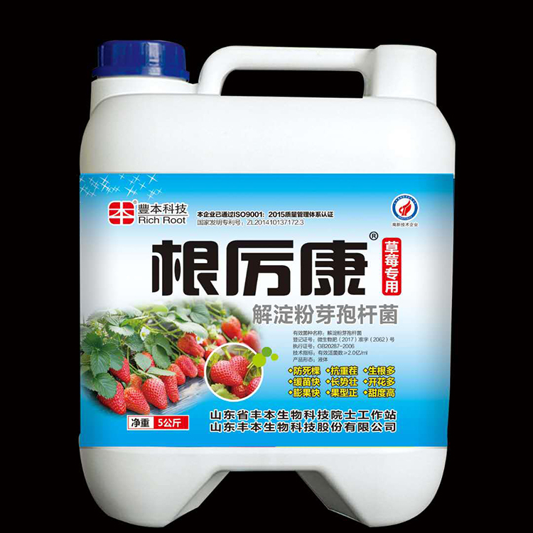 根厉康生产厂家 丰本微生物菌肥 生根多菌肥