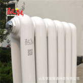 钢制暖气片厂家 批发定制卫浴钢制散热器 吉林钢制暖气片