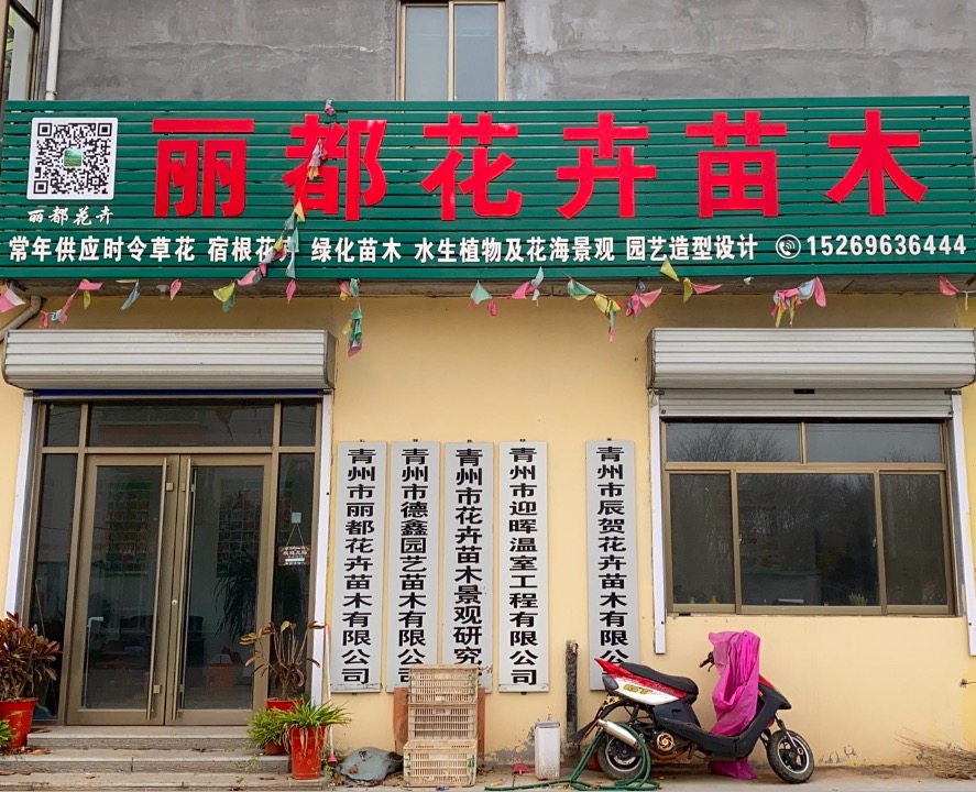 青州市丽都花卉苗木有限公司