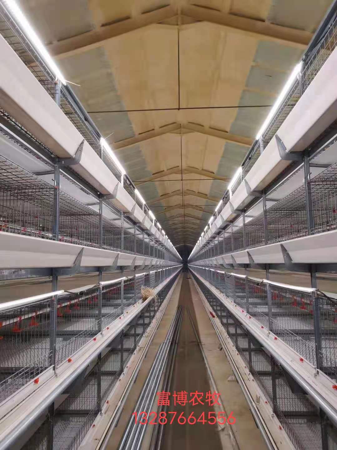 山东富博供应肉鸡笼 H型框架鸡笼  H型鸡笼厂家 笼养设备  