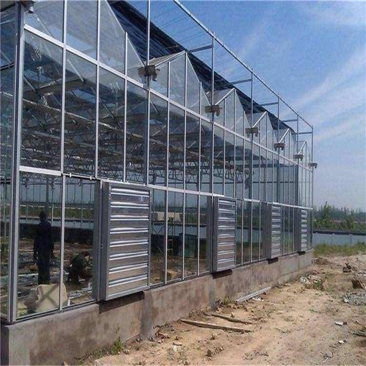 智能温室阳光板 温室大棚工程 阳光板温室大棚经销商 北方