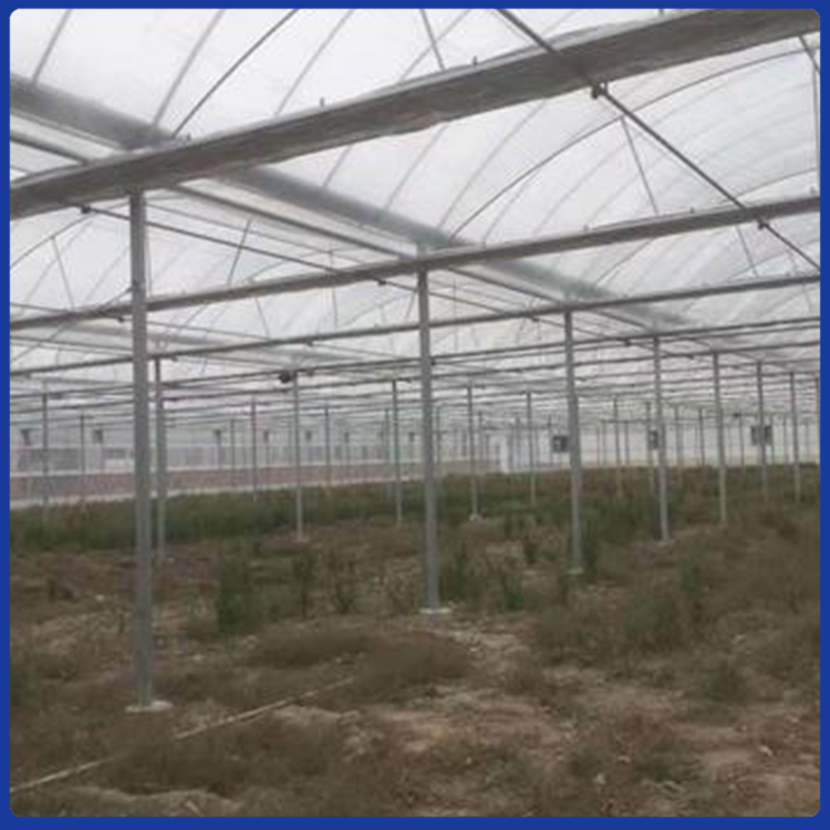 潍坊蔬菜种植用薄膜温室大棚建造价格 欢迎致电咨询 龙玺