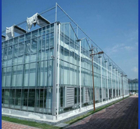 日光温室厂家 温室蘑菇 农业种植大棚 适用东北冬天种菜大棚 温室蘑菇产量