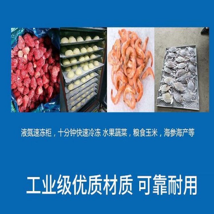 多用途液氮速冻柜 液氮速冻柜定做加工 常年生产出售液氮速冻柜