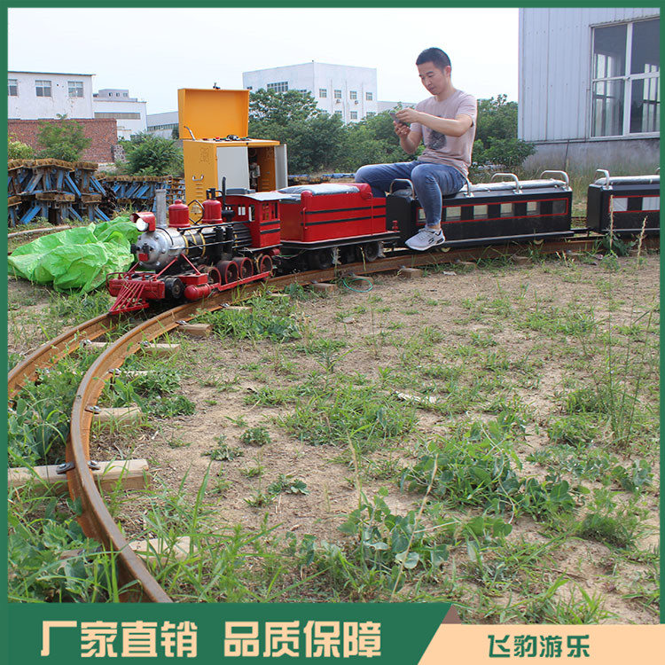定制迷你轨道火车 仿真可坐人蒸汽火车 广场游乐场电动小火车