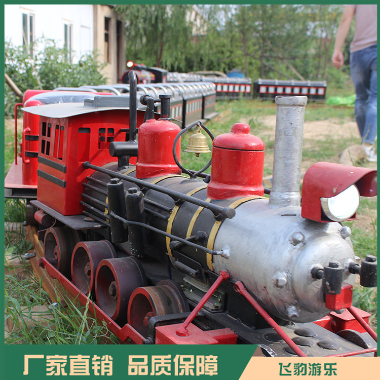 仿真蒸汽小火车 微型蒸汽火车游乐设备 飞豹游乐 品质可靠