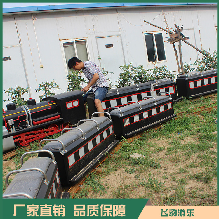无轨火车厂家  儿童游乐设备 儿童微型小火车 欢迎咨询 飞豹游乐