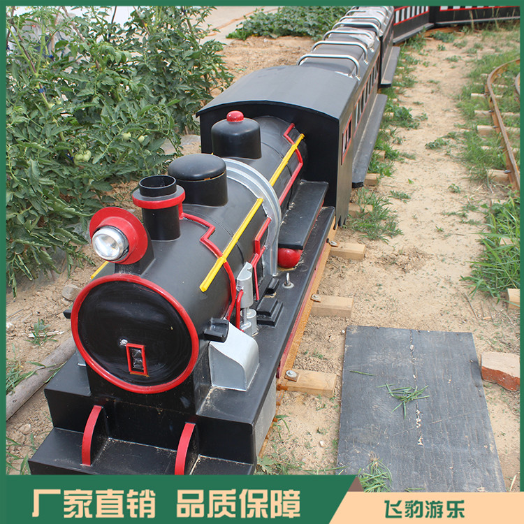 公园小火车游乐设备  微型小火车 蒸汽小火车