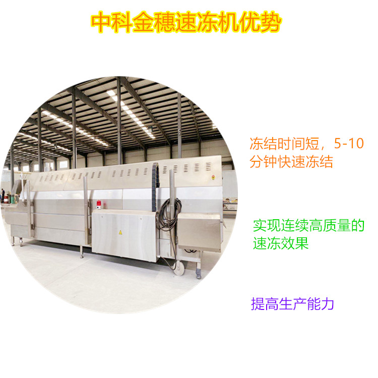 金枪鱼速冻机 肉食隧道速冻机 小型隧道速冻机 厂家直销供应海鲜速冻机设备