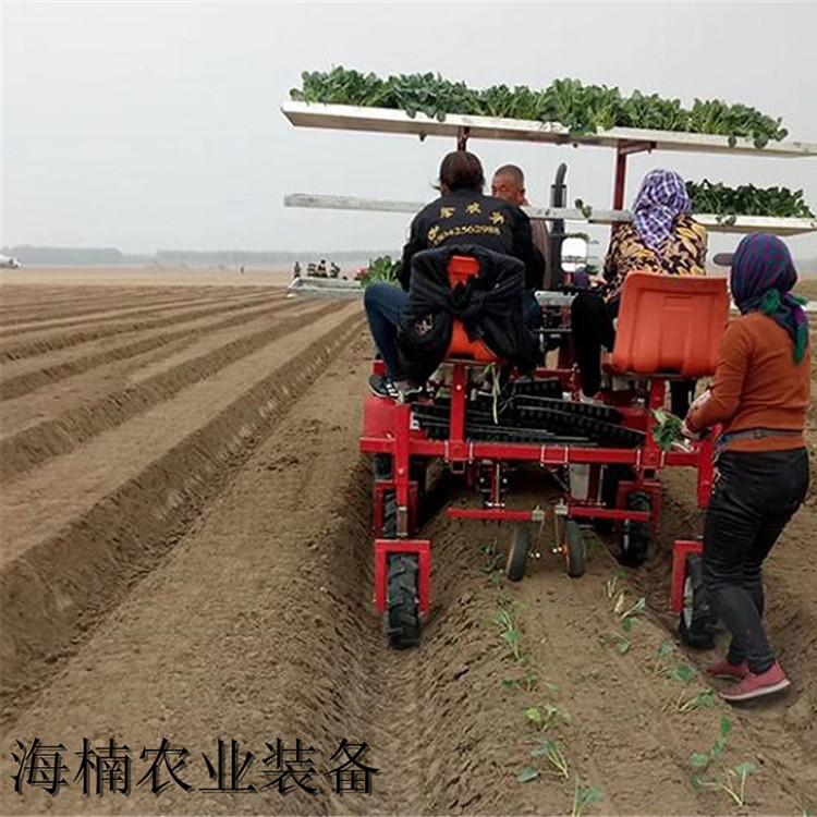 移栽机定制 厂家定制白菜移栽机 山东白菜移栽机