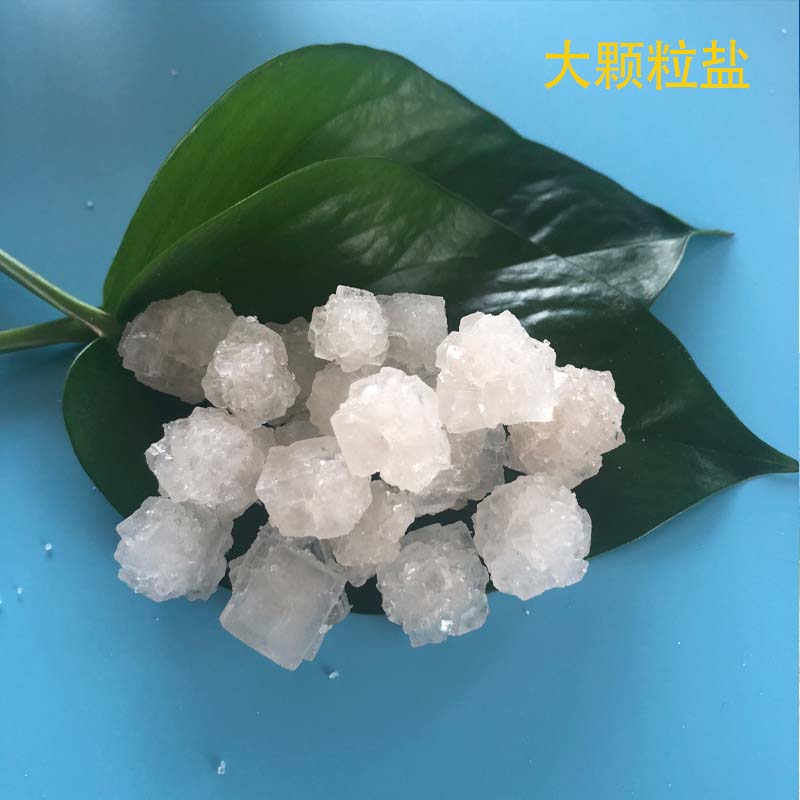 工业级大颗粒盐 热敷工业用大颗粒盐 达康化工价格实惠