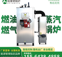 帕莱顿立式蒸汽锅炉 不锈钢材质0.5吨燃油气蒸汽发生器 <em>机械设备</em>