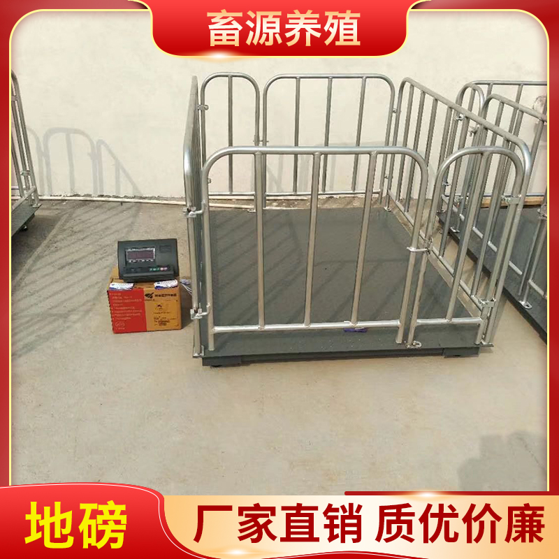 畜源养殖 地磅 畜牧双开门地磅