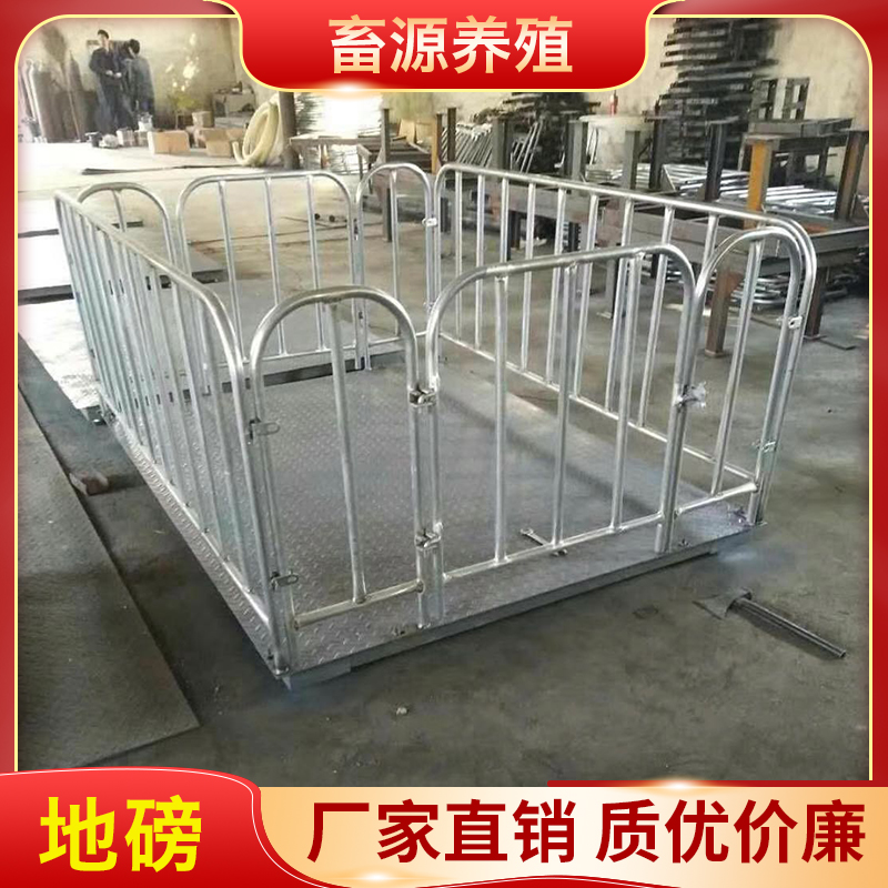 畜源养殖 地磅 围栏电子秤