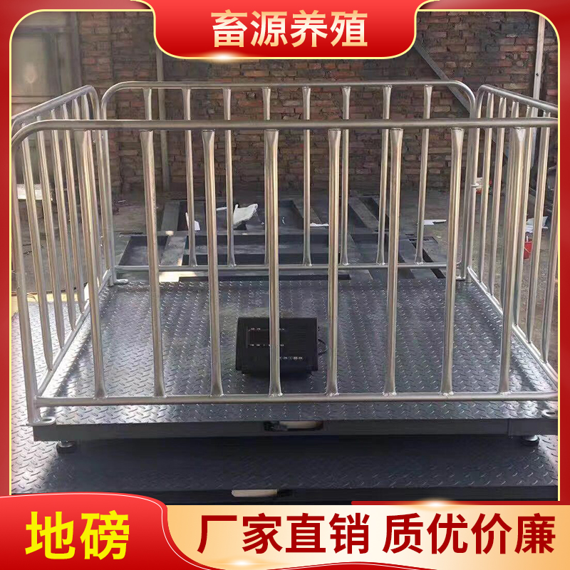 畜源养殖 2*3地磅 畜牧3吨地磅