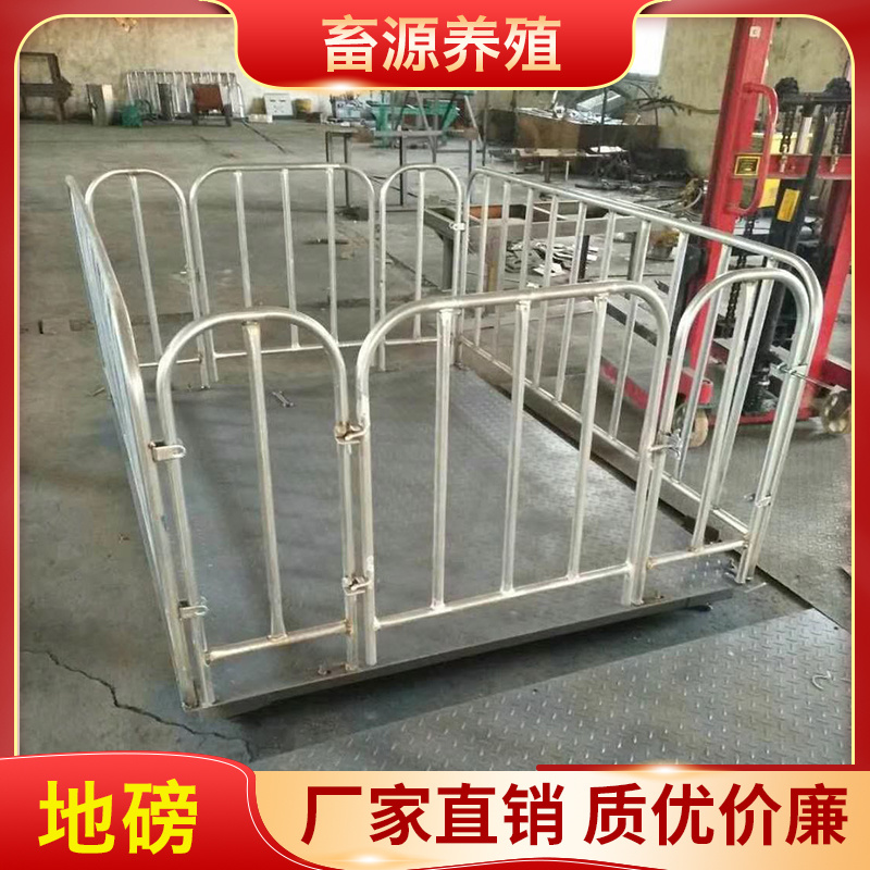畜源养殖 2*3地磅 畜牧3吨小地磅