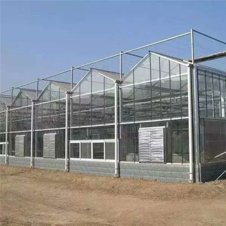 玻璃温室大棚  蔬菜种植大棚  智能玻璃温室