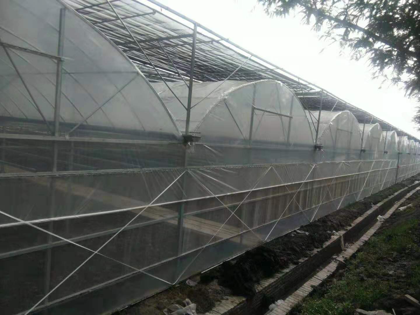 湖北连栋薄膜温室定制