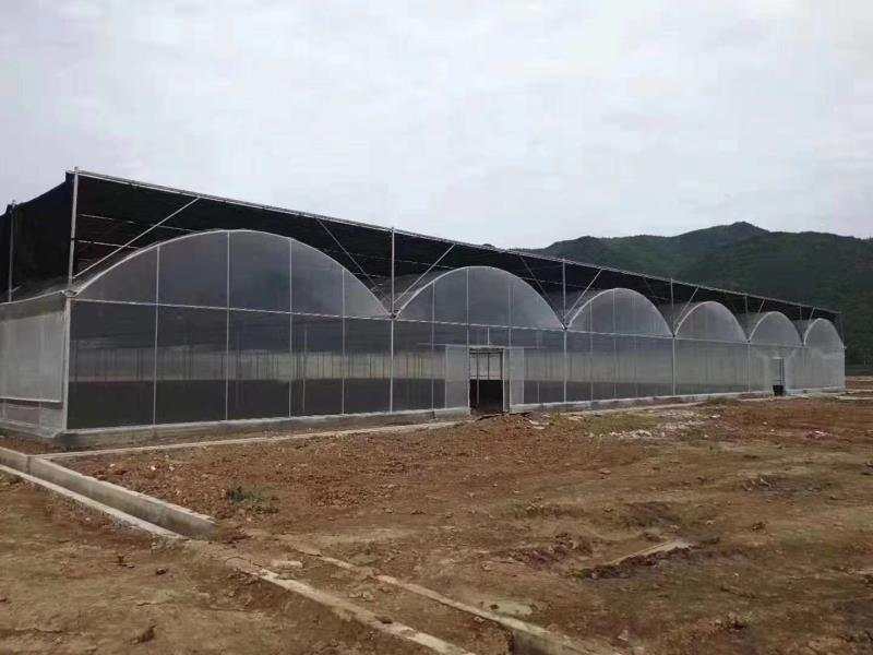 广东薄膜连动温室建造