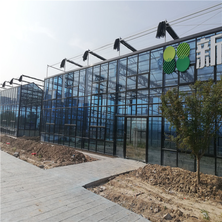 薄膜温室建设建造 连栋薄膜温室 温室承建 合作共赢