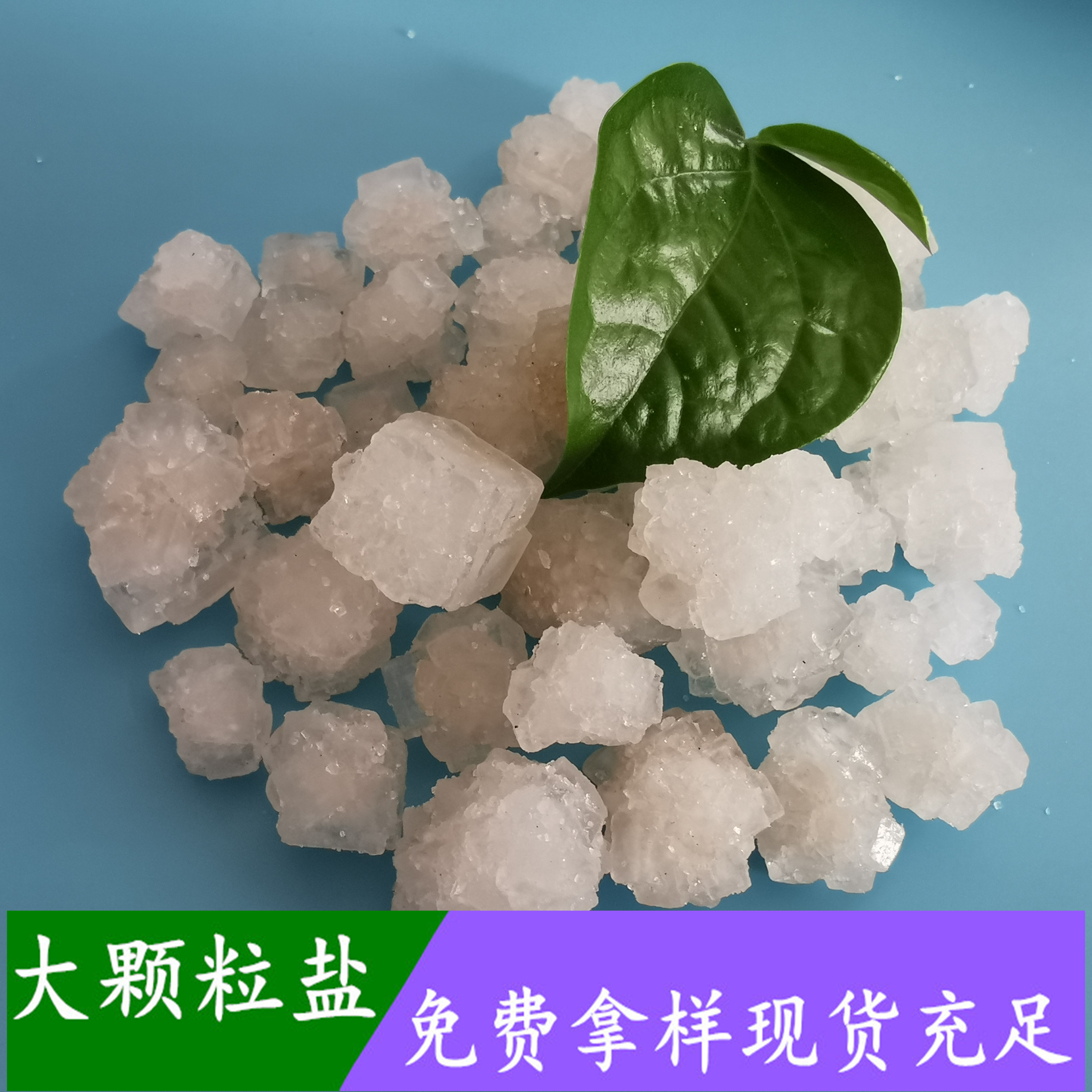 大颗粒盐 热敷水处理用日晒原盐大颗粒盐 大颗粒工业盐批发厂家
