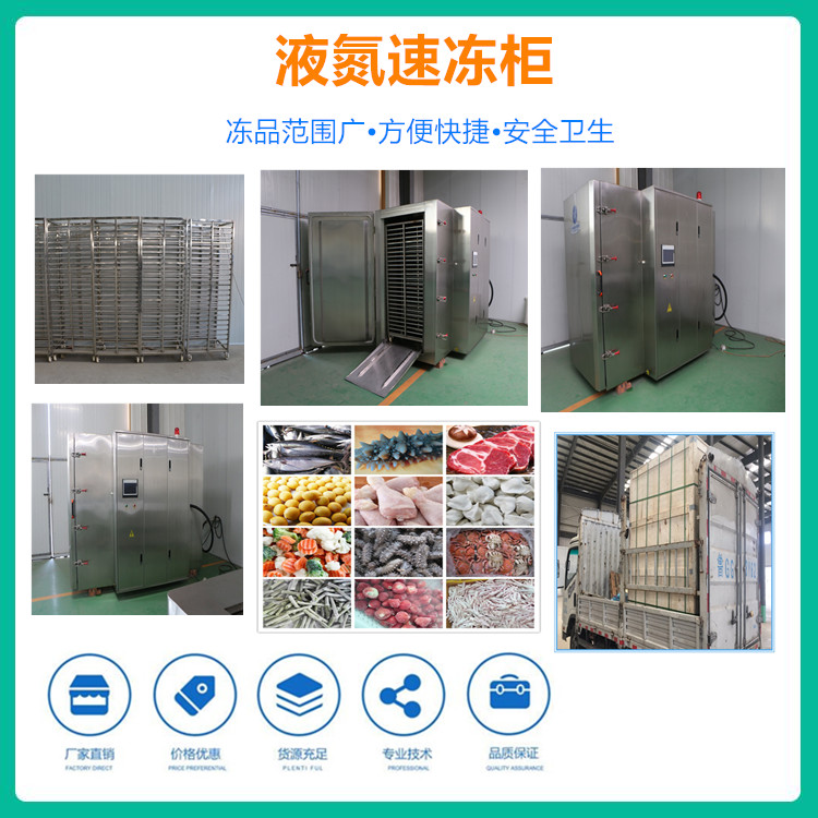 金枪鱼速冻柜 鲳鱼速冻柜 鱼类液氮速冻机 厂家加工定制液氮速冻设备