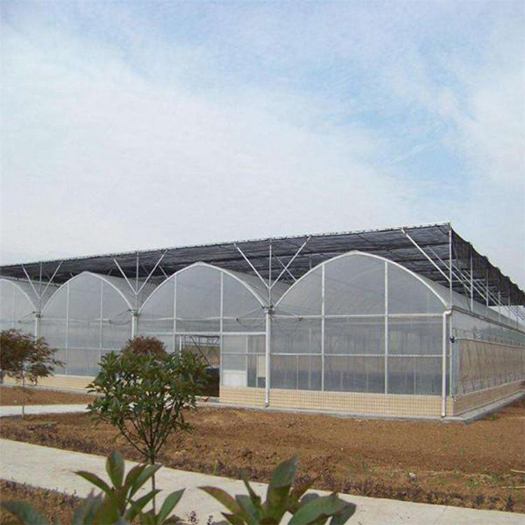 连栋薄膜温室报价 蔬菜薄膜温室大棚 养殖大棚建造 北方温室