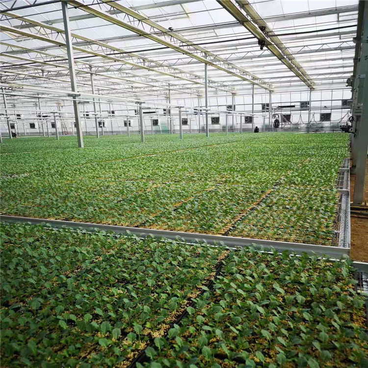 蔬菜栽培基质 营养基质 种植基质 蔬菜水果花卉无土栽培营养基质