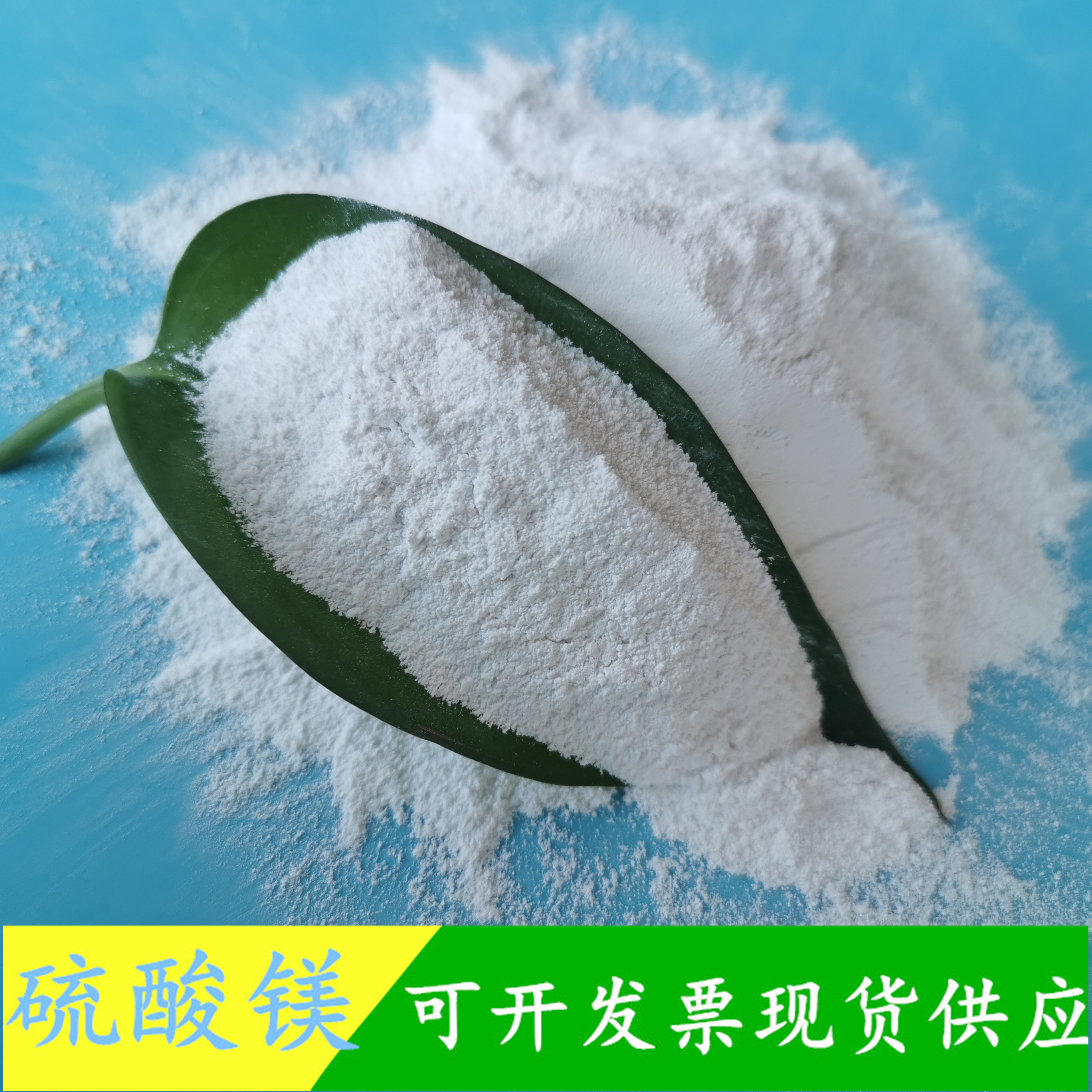 鼎昊现货硫酸镁 99含量一水硫酸镁粉末 工业级硫酸镁厂家