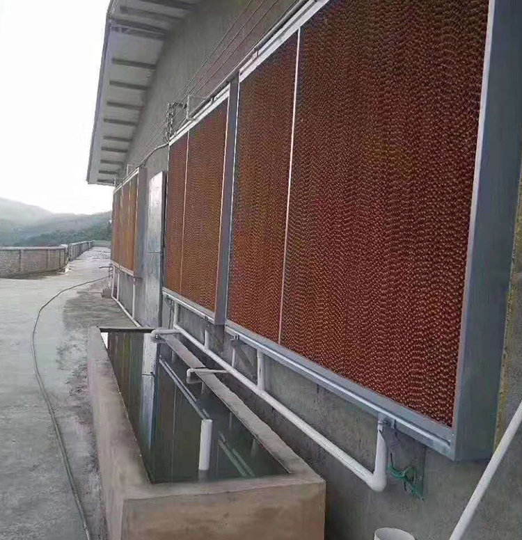 朗嘉机械设备直销佳木斯原纸湿帘纸原纸厂家直销 批发