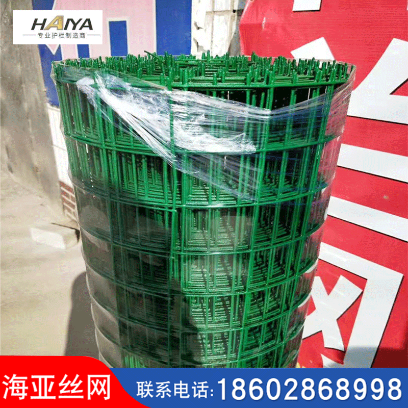 荷兰网 厂家直销 荷兰网 电焊网 铁质筛网 浸塑电焊网片