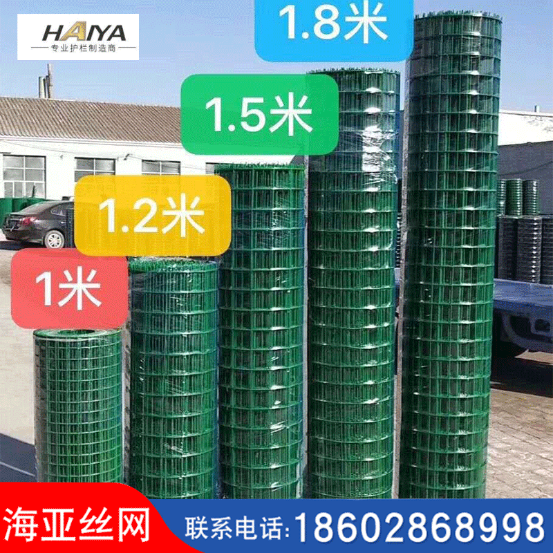 现货供应浸塑荷兰网 隔离养殖防护围栏网 养鸡铁丝网涂塑荷兰网