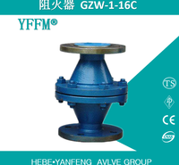 天然气管道阻火器GZW-1-16C-DN100