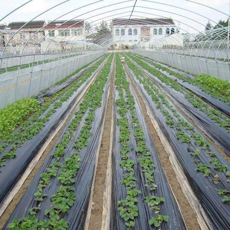 恒冠双色地膜 地面覆盖薄膜生产厂家 可定制